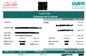 Business License In Dubai
